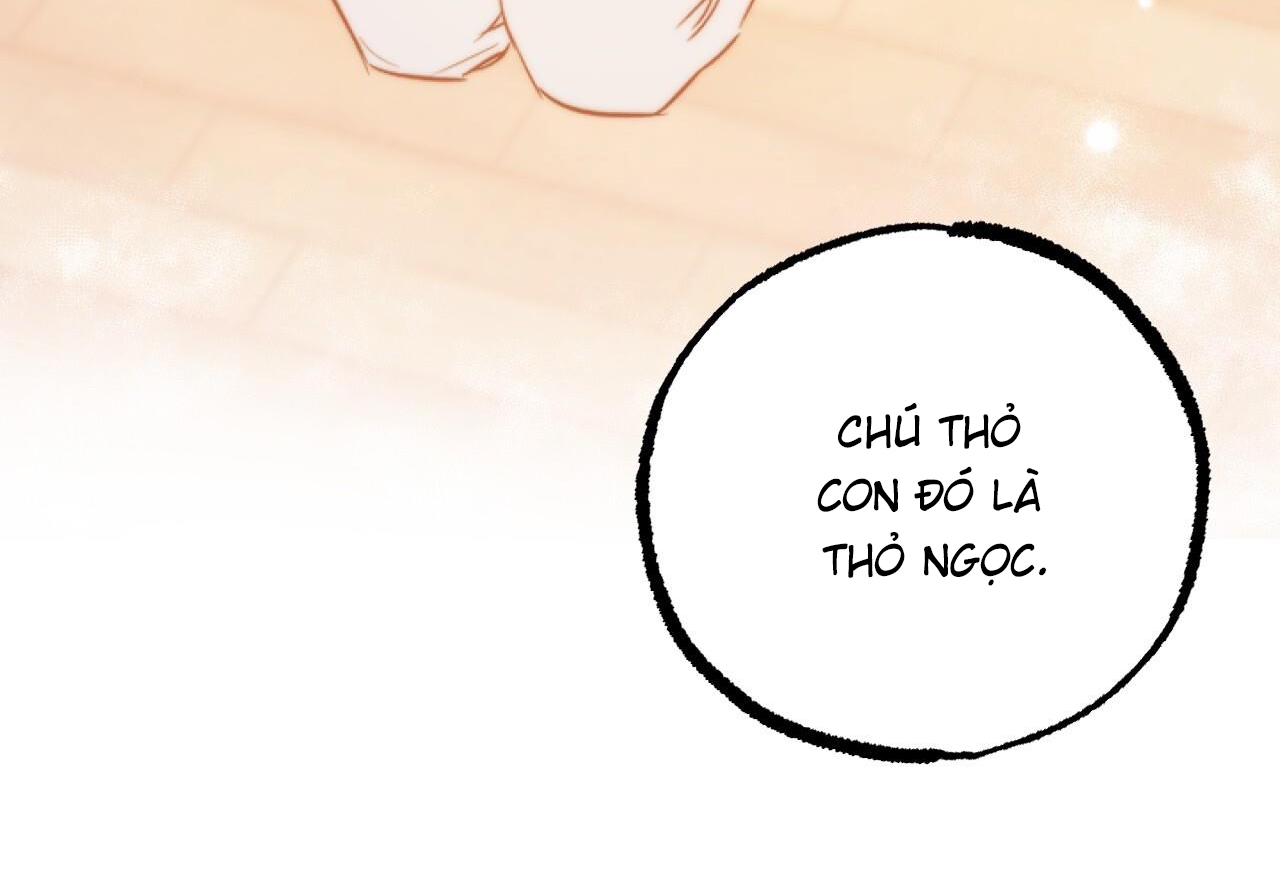 đàn thỏ của habibi chapter 62 91