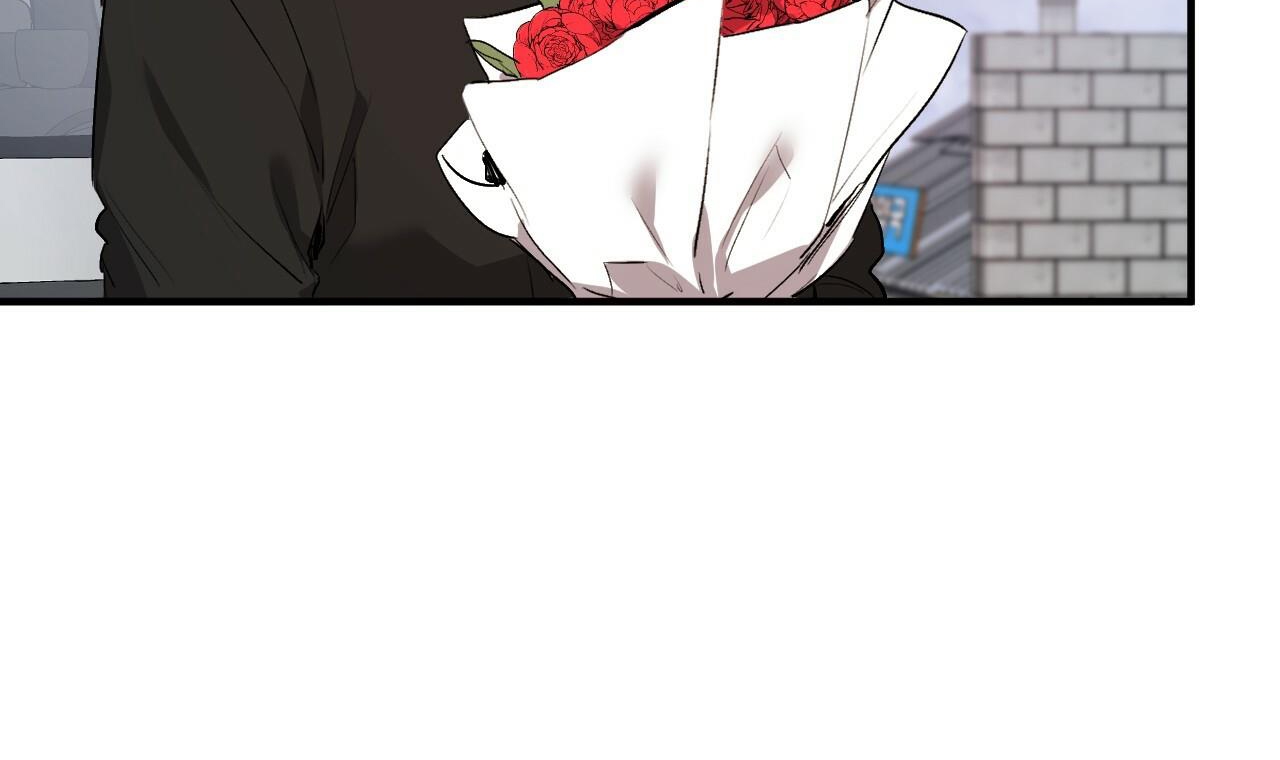 đàn thỏ của habibi chapter 44 241