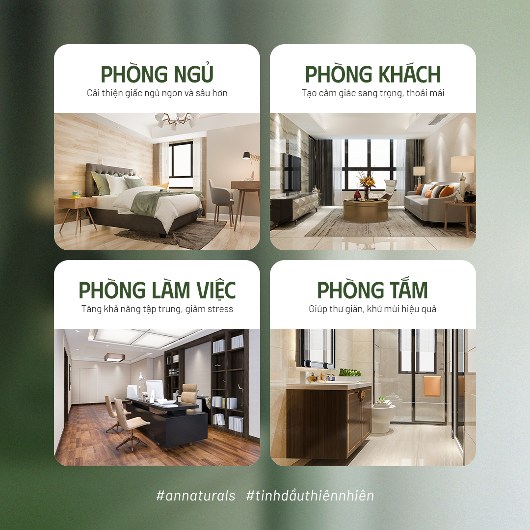 Máy xông tinh dầu &amp; Khuếch tán tinh dầu trực tiếp AN Naturals | Sử dụng không gian dưới 50m2