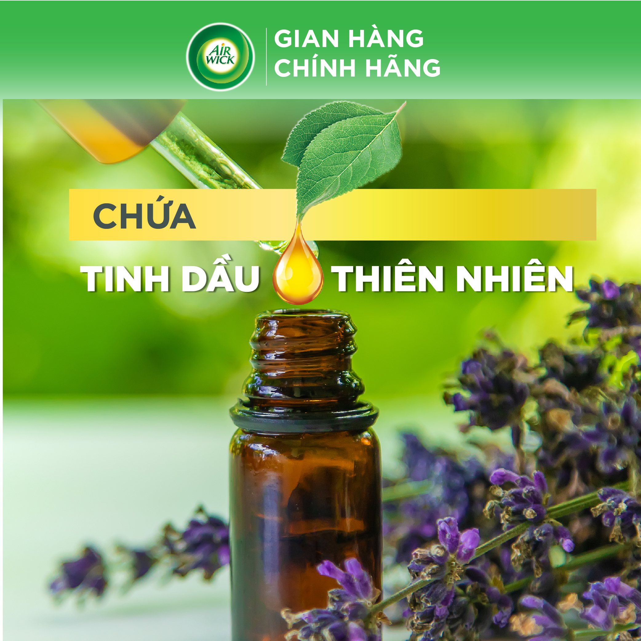 Sáp Thơm Phòng AIRWICK | Khử Mùi Hiệu Quả - Hương Thơm Thiên Nhiên