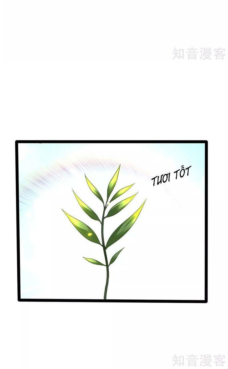 vú em tiên tôn đi ở rể chapter 154 27