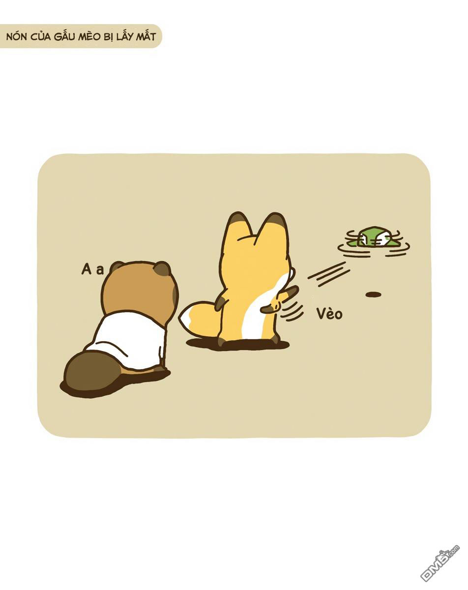cáo và gấu mèo chapter 9 12