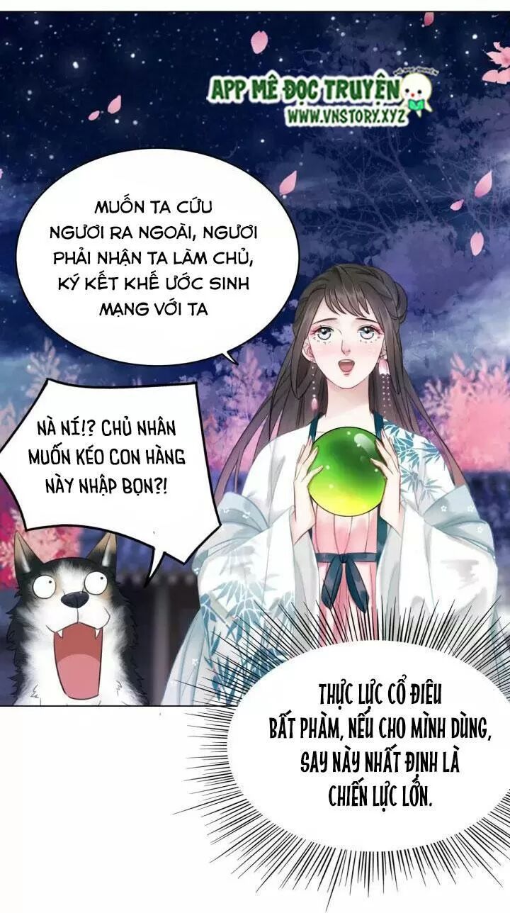 cực phẩm phế vật tiểu thư chapter 107 28