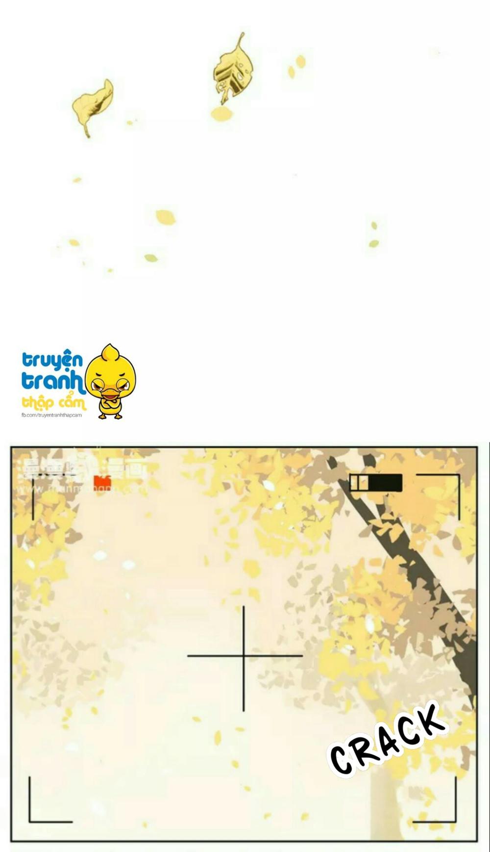 cứu mạng ! loài mèo thống trị thế giới rồi ! chapter 37 6