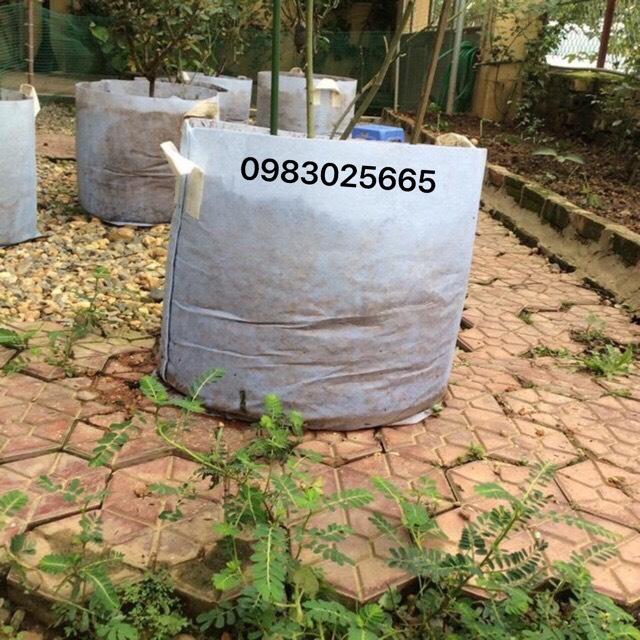 Combo 10 Túi vải địa ươm, trồng cây Kích thước 45x40cm có quai xách - Chậu vải địa không dệt