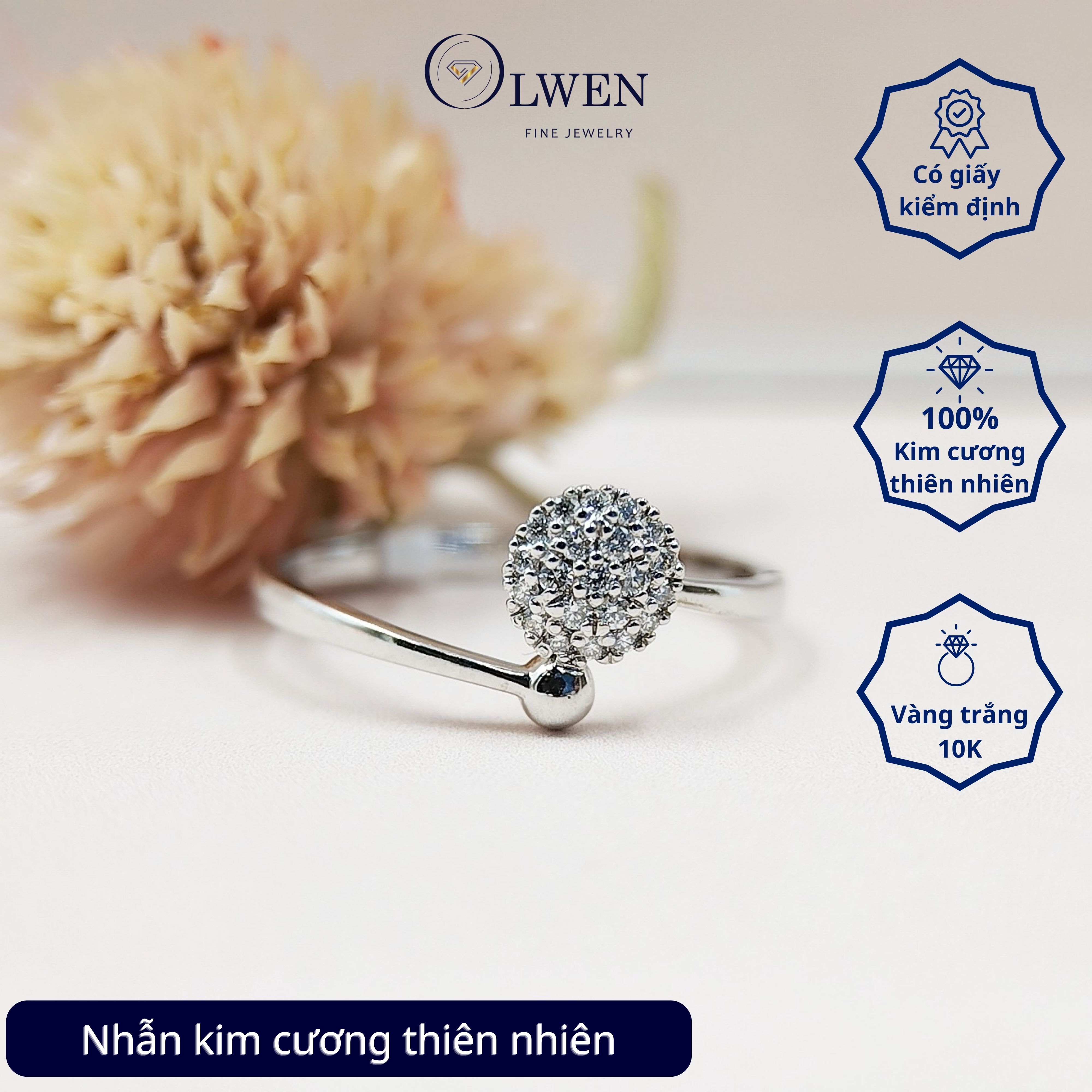 Nhẫn kim cương OW12