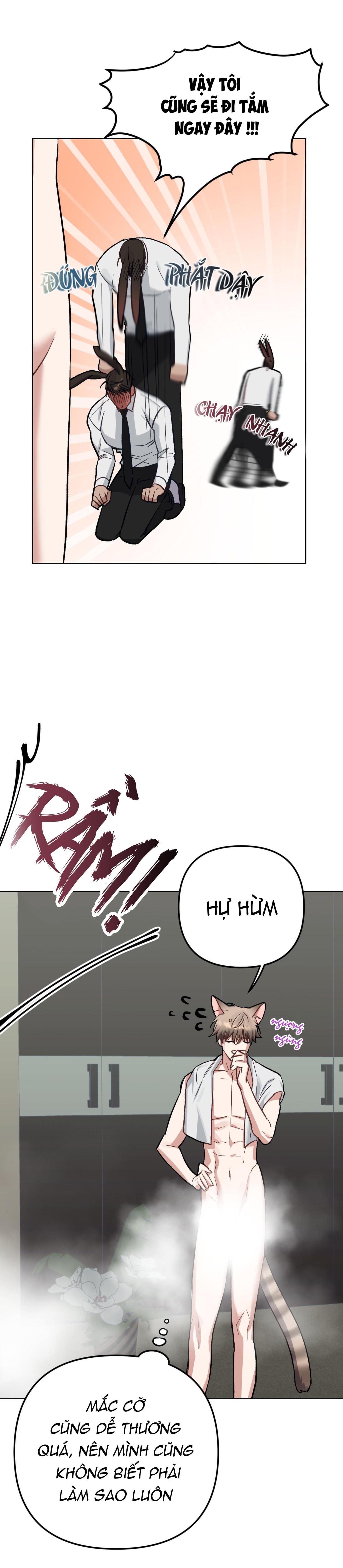 chú thỏ chỉ cần 3 giây là xuất tinh chapter 3 19