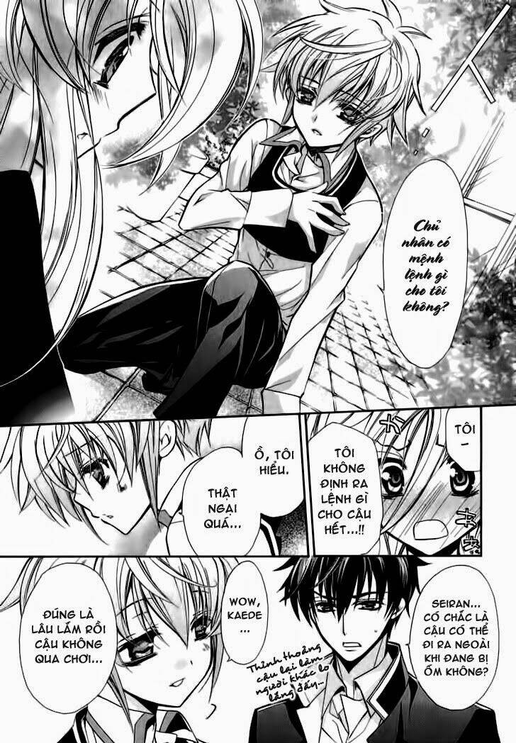 nụ hôn của công chúa tường vi chapter 4 14