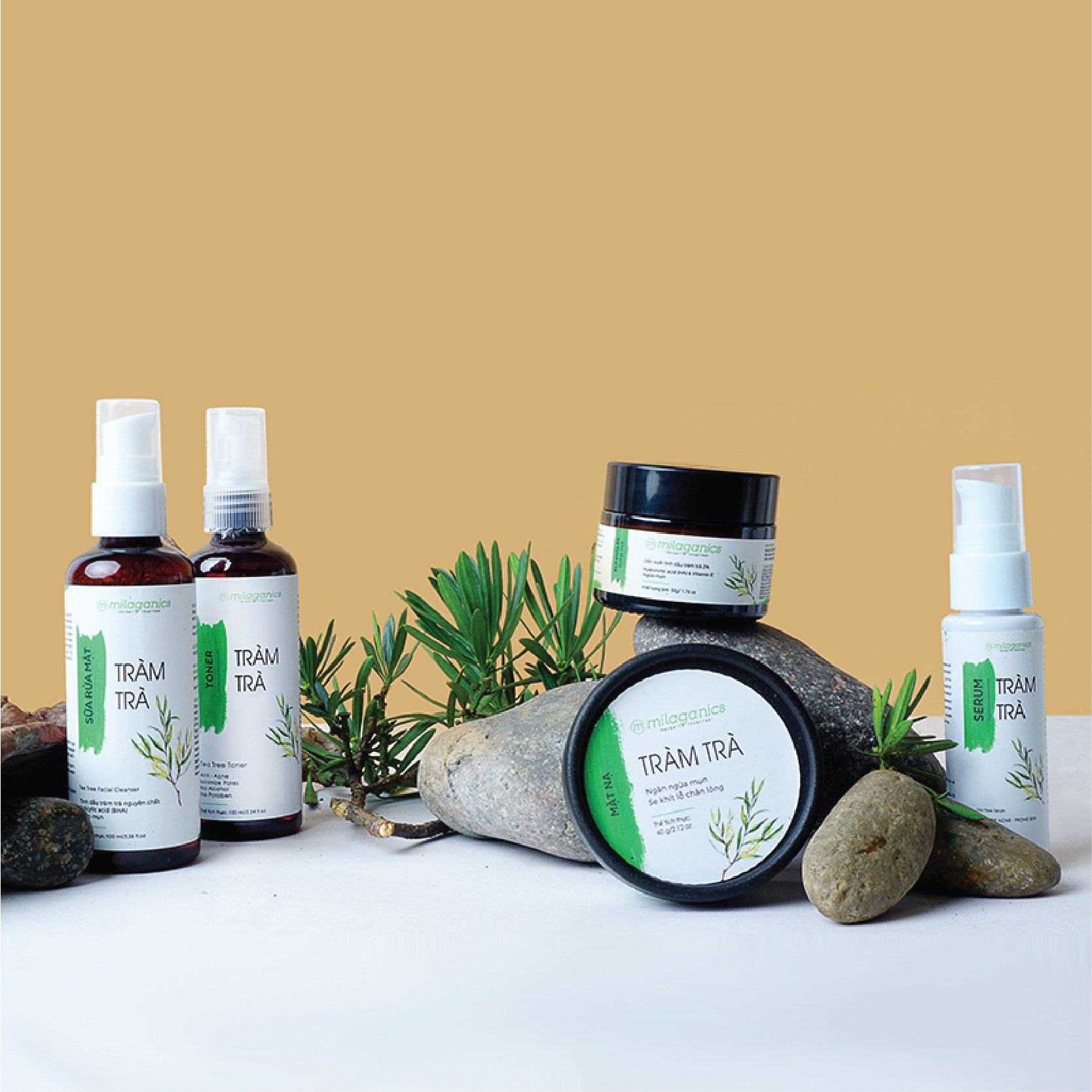 Mặt Nạ Tràm Trà Teatree Ngăn Ngừa & Làm Khô Vết Nhân Mụn Từ Tinh Dầu Tràm Trà Nguyên Chất MILAGANICS 60g