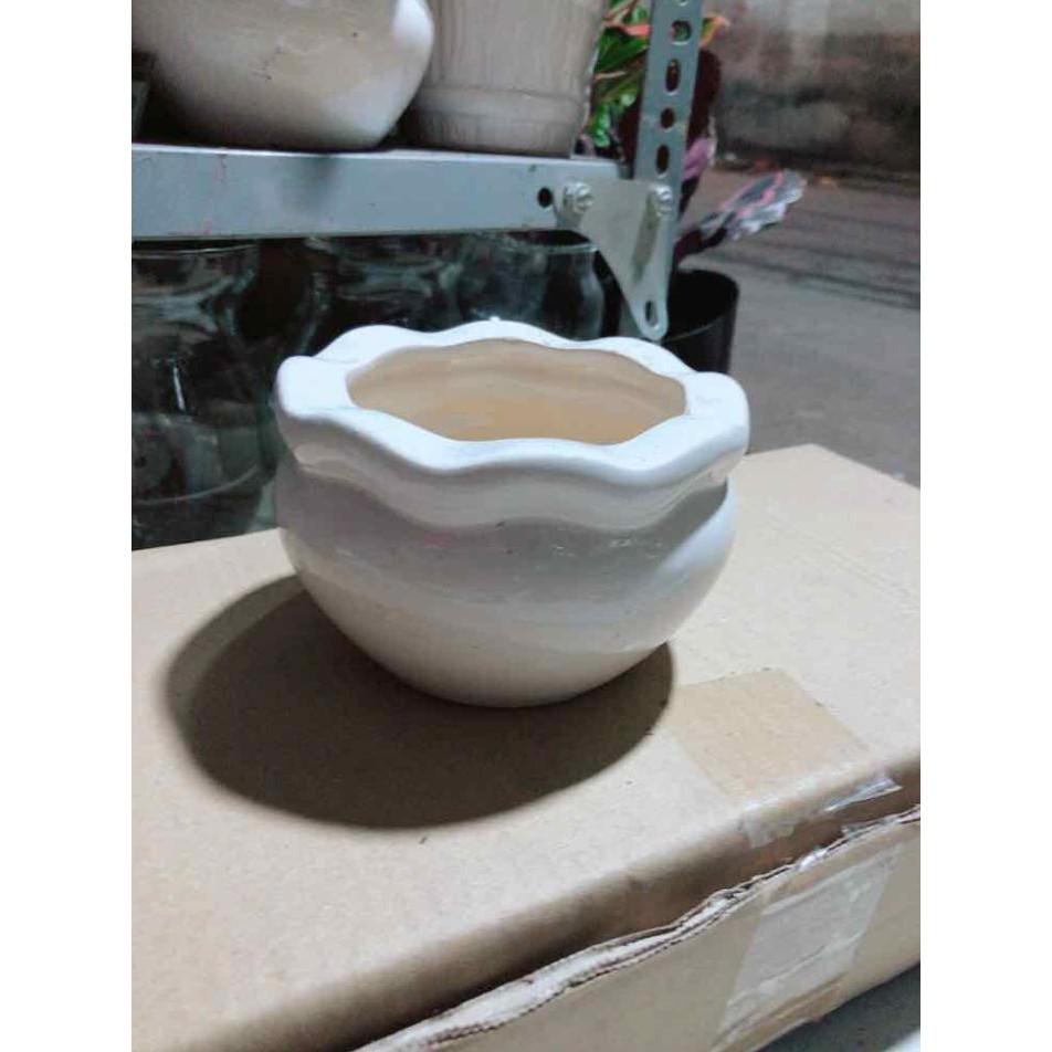 Chậu Trồng Cây Bán Chạy
