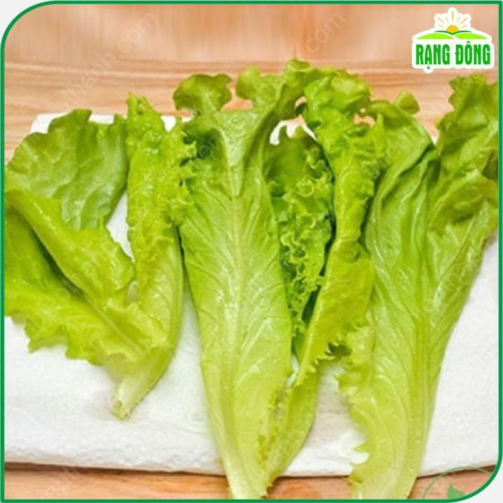 Hạt giống Xà Lách Rado 357 (10g~6000 hạt) giống Xà Lách Dún trồng quanh năm, nhanh thu hoạch - Hạt giống Rạng Đông