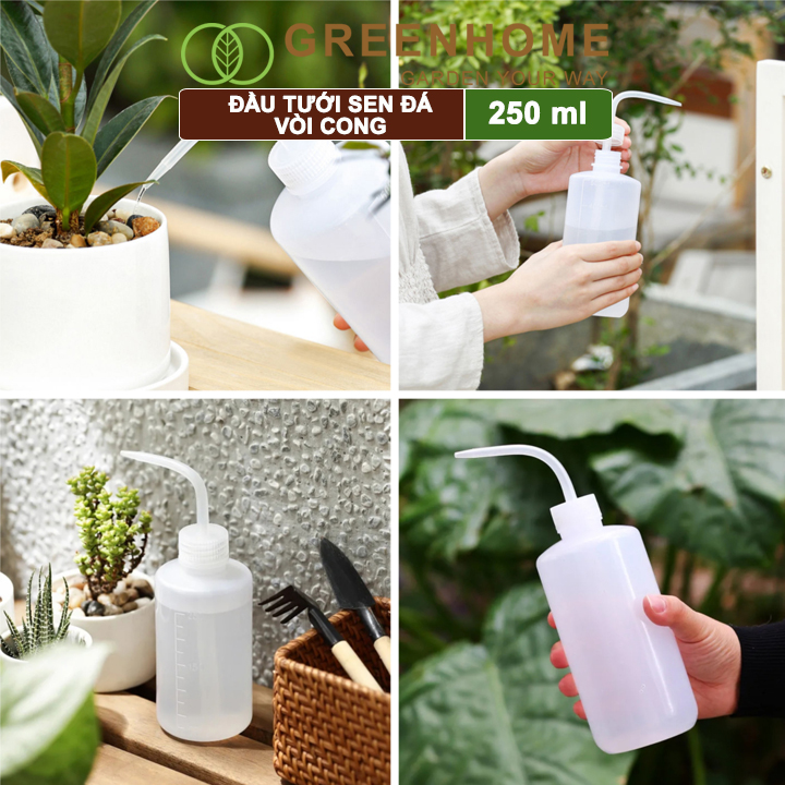 Bình Tưới Cây Greenhome, Vòi Cong 250ml, Phù Hợp Cho Sen Đá, Xương Rồng, Tiểu Cảnh Mini, Màu Sắc Ngẫu Nhiên