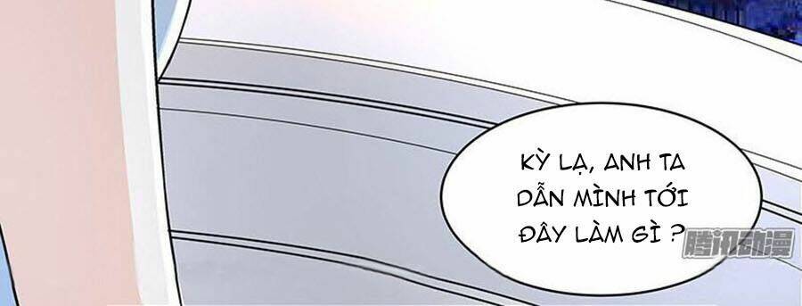 cường sủng hào môn tiểu manh thê chapter 17 25