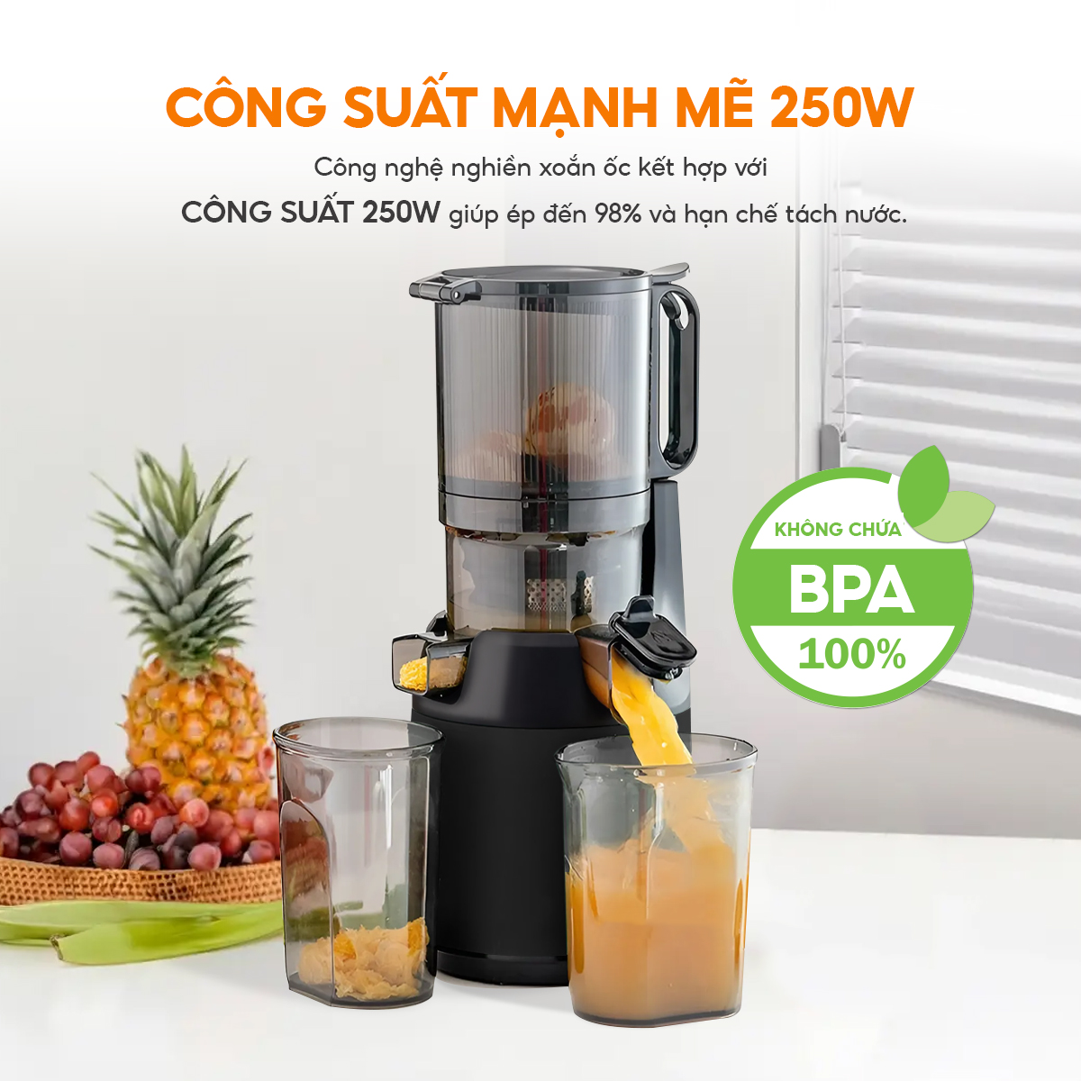 Máy ép chậm Lebenlang LBL3077, công suất 250W, dung tích 1000ml, ép kiệt bã, giữ trọn dinh dưỡng, bảo hành 2 năm - hàng chính hãng