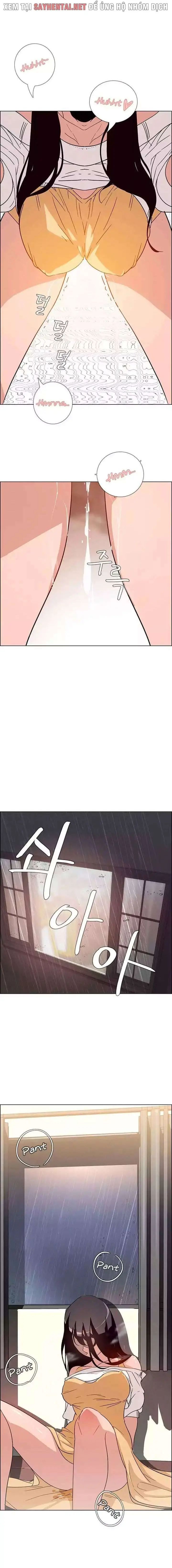 màn mưa chapter 18 2