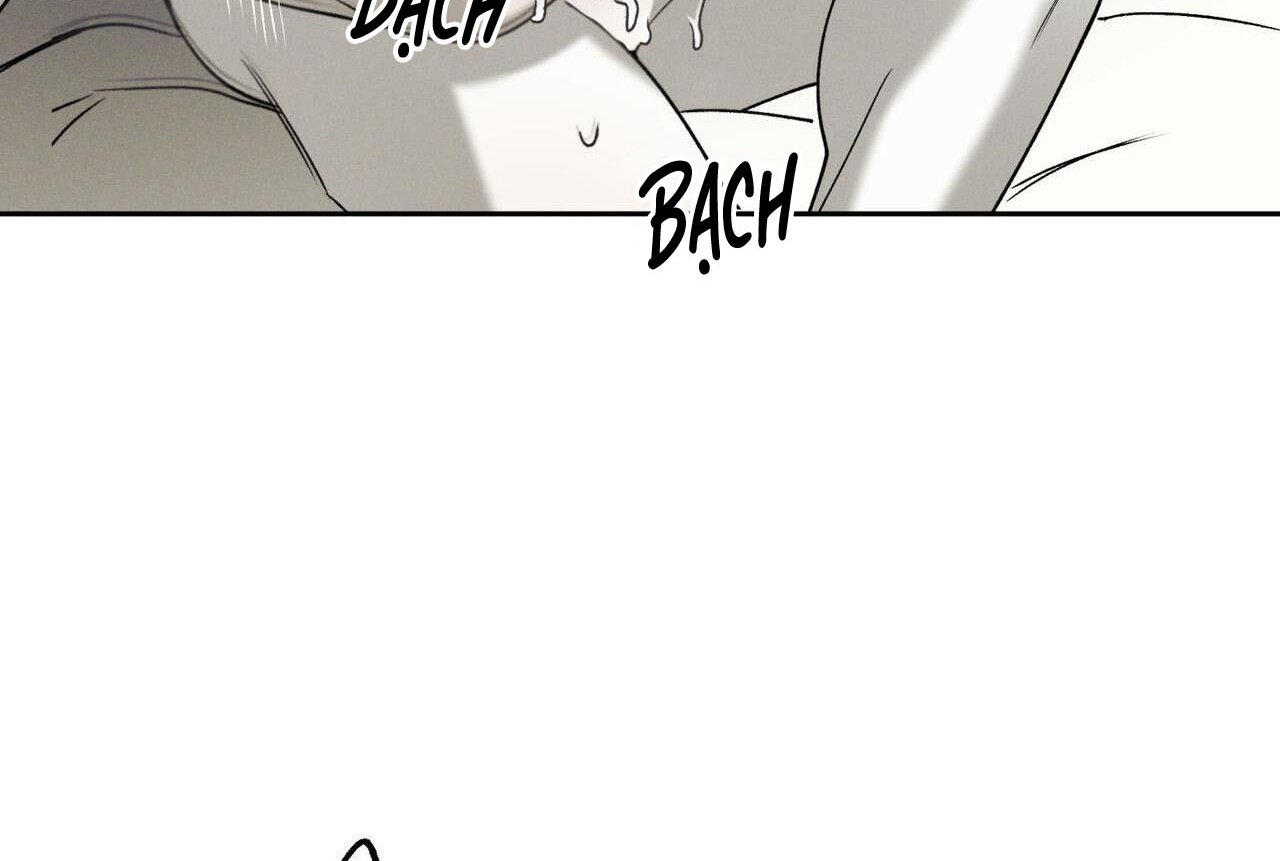 chàng giao pizza và gold palace chapter 47 18