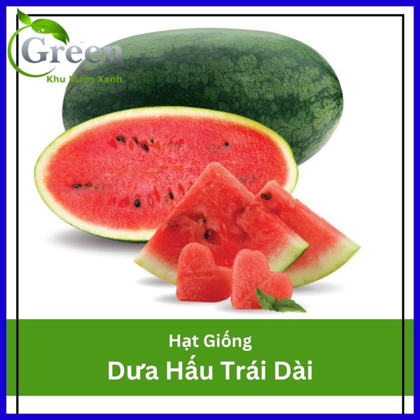 Hạt Giống Dưa Hấu Trái Dài