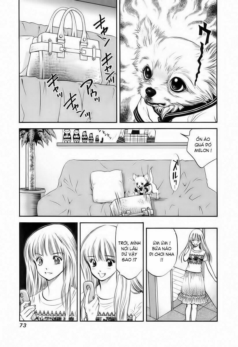 cô nàng yêu chó chapter 34 10