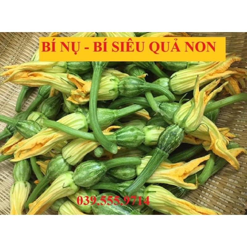 HẠT GIỐNG BÍ NỤ - BÍ SIÊU QUẢ NON - GIỐNG TỐT