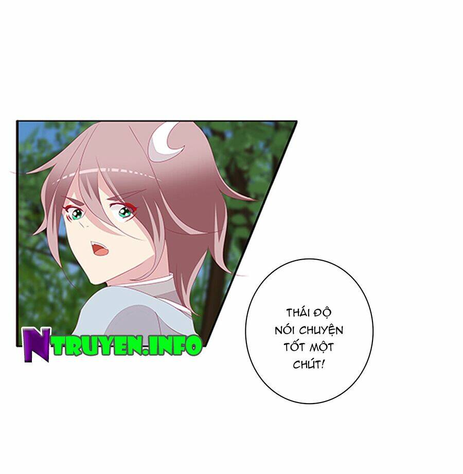 tướng quân mời ra trận chapter 150 12