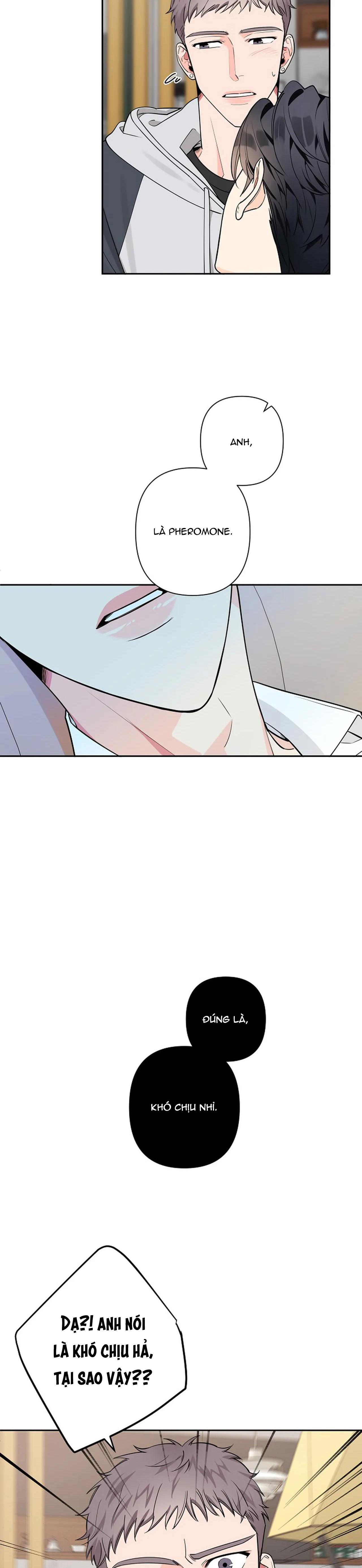 đêm dịu dàng chapter 31 12