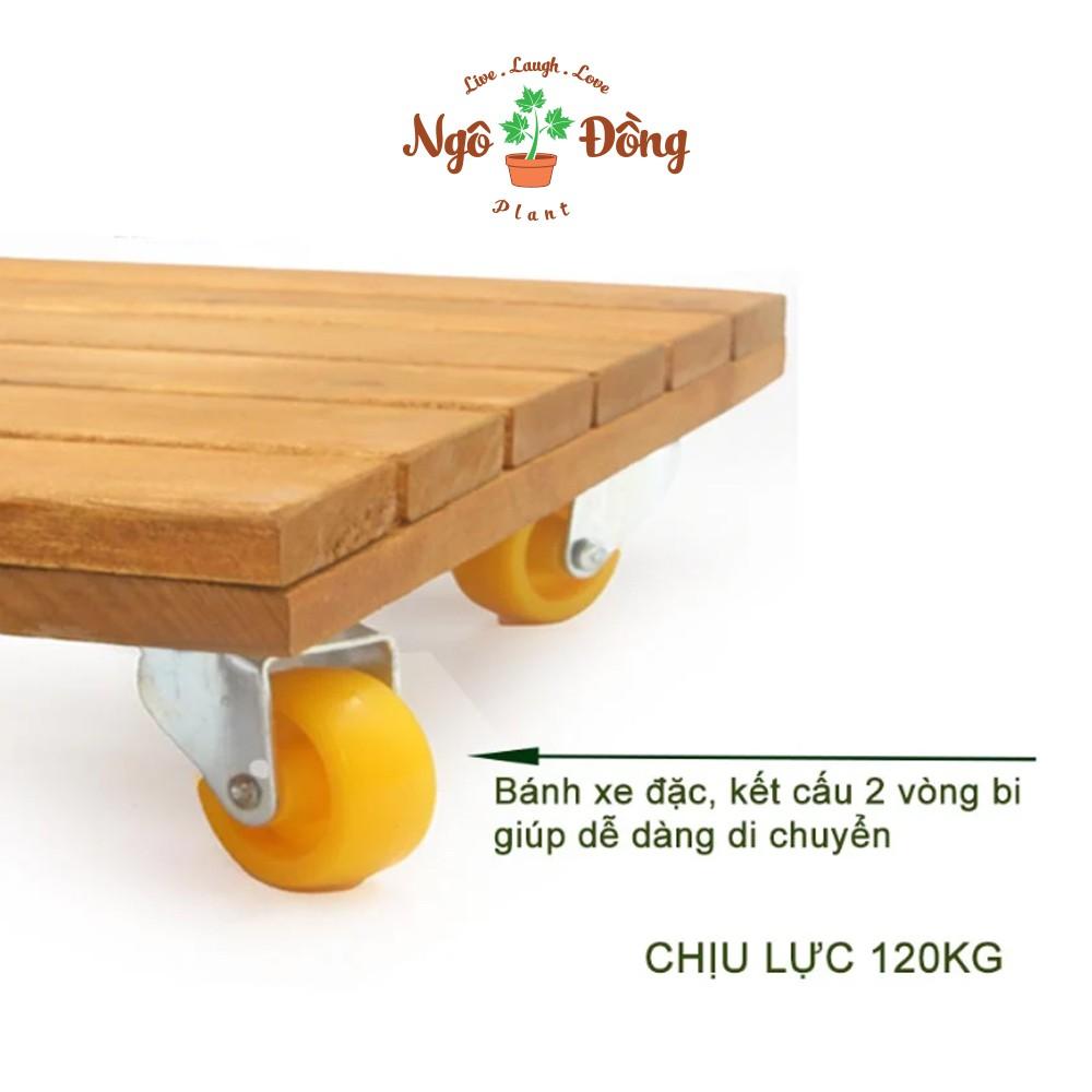 Đế Lót Chậu Cây Cảnh Chậu Hoa Bằng Gỗ Tràm Hình Vuông R30cm Có Bánh Xe Khóa An Toàn