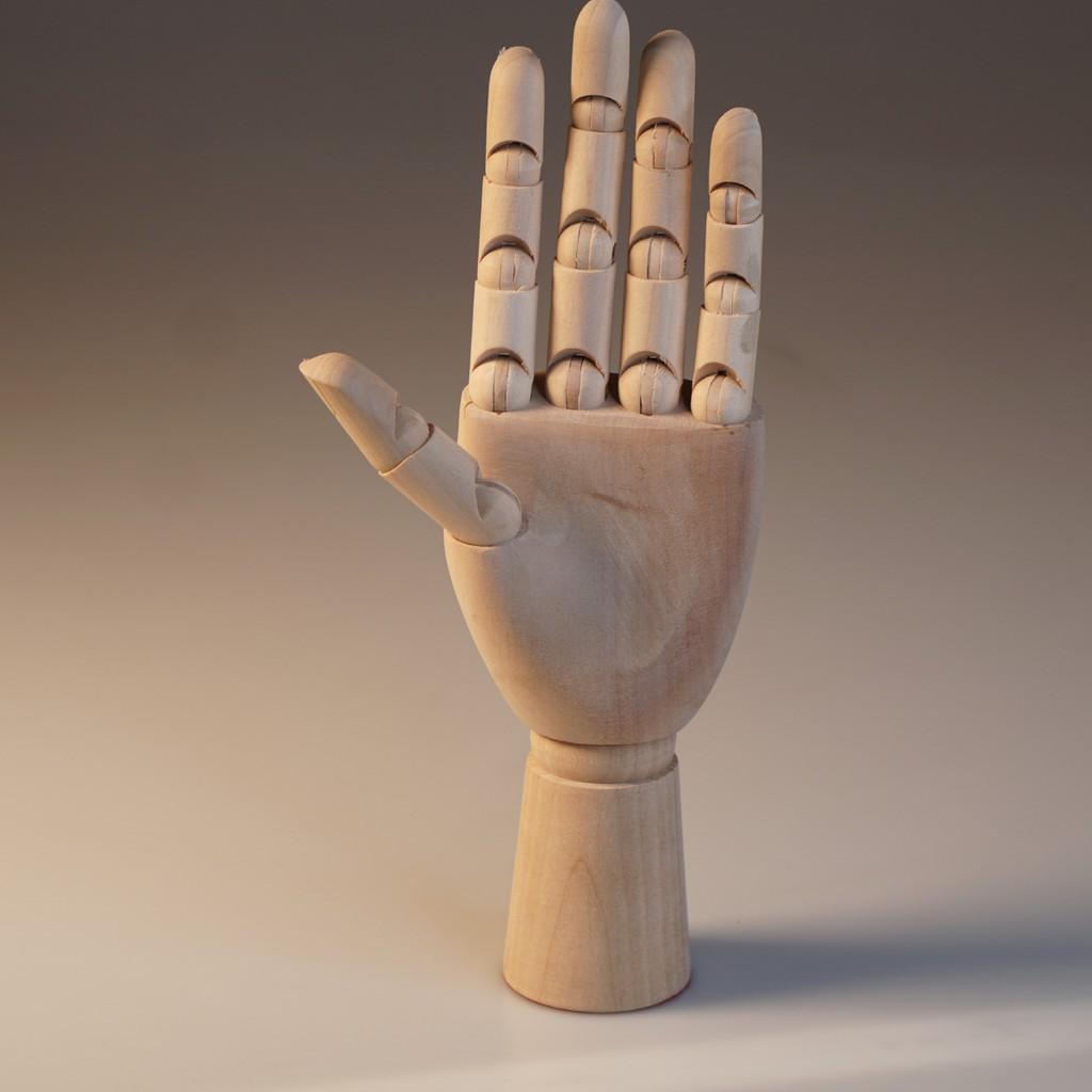 Bàn tay Gỗ vẽ Kiến trúc Mannequin