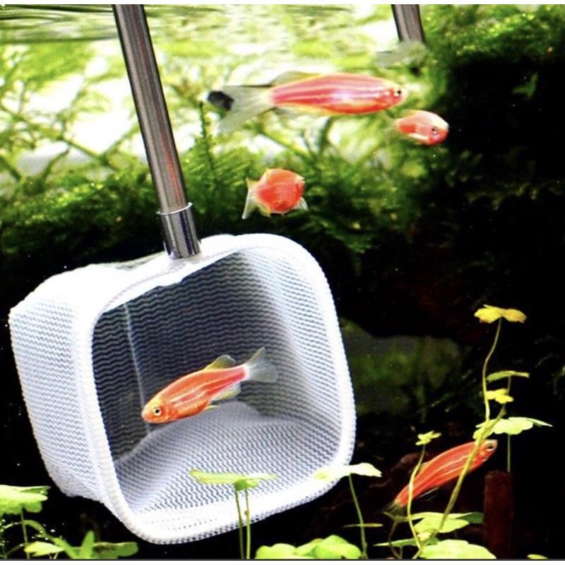 VỢT TÉP 3D, CHỐNG SỐC VÀ CÓ THỂ KÉO DÀI