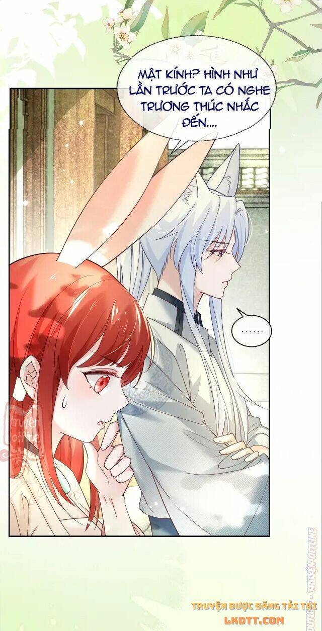 hắc hóa nam chính trực tuyến nuôi thỏ chapter 48 19