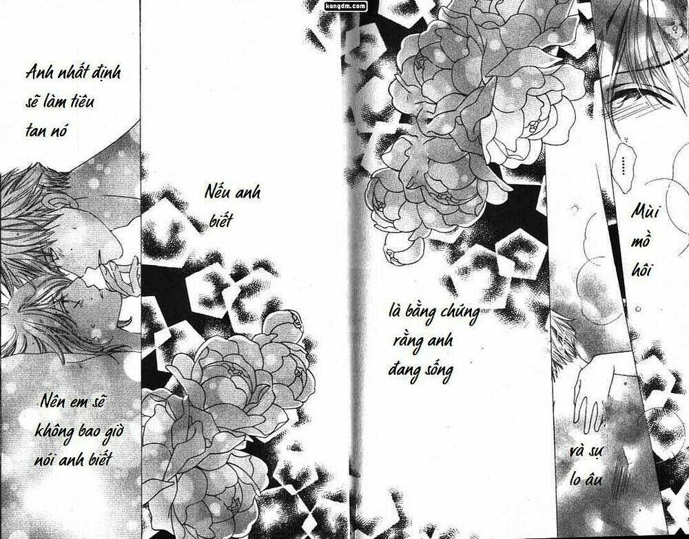 diamond life chapter 10 28