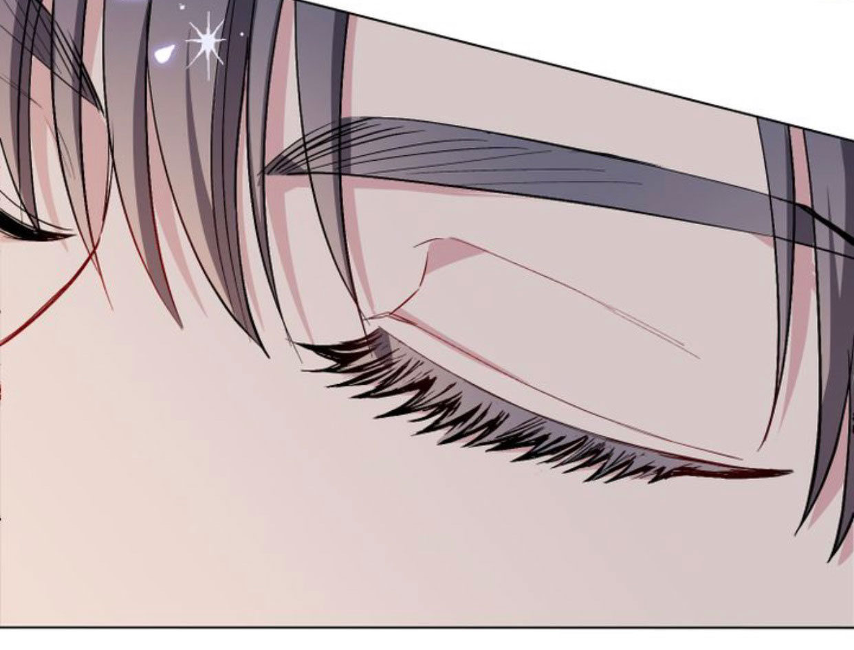 đi tìm nàng camellia chapter 15.1 18