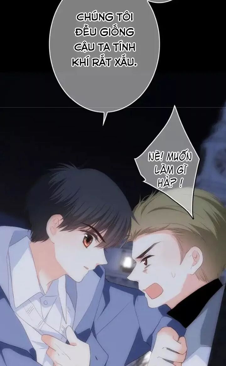 con tim rung động 2 chapter 67 48