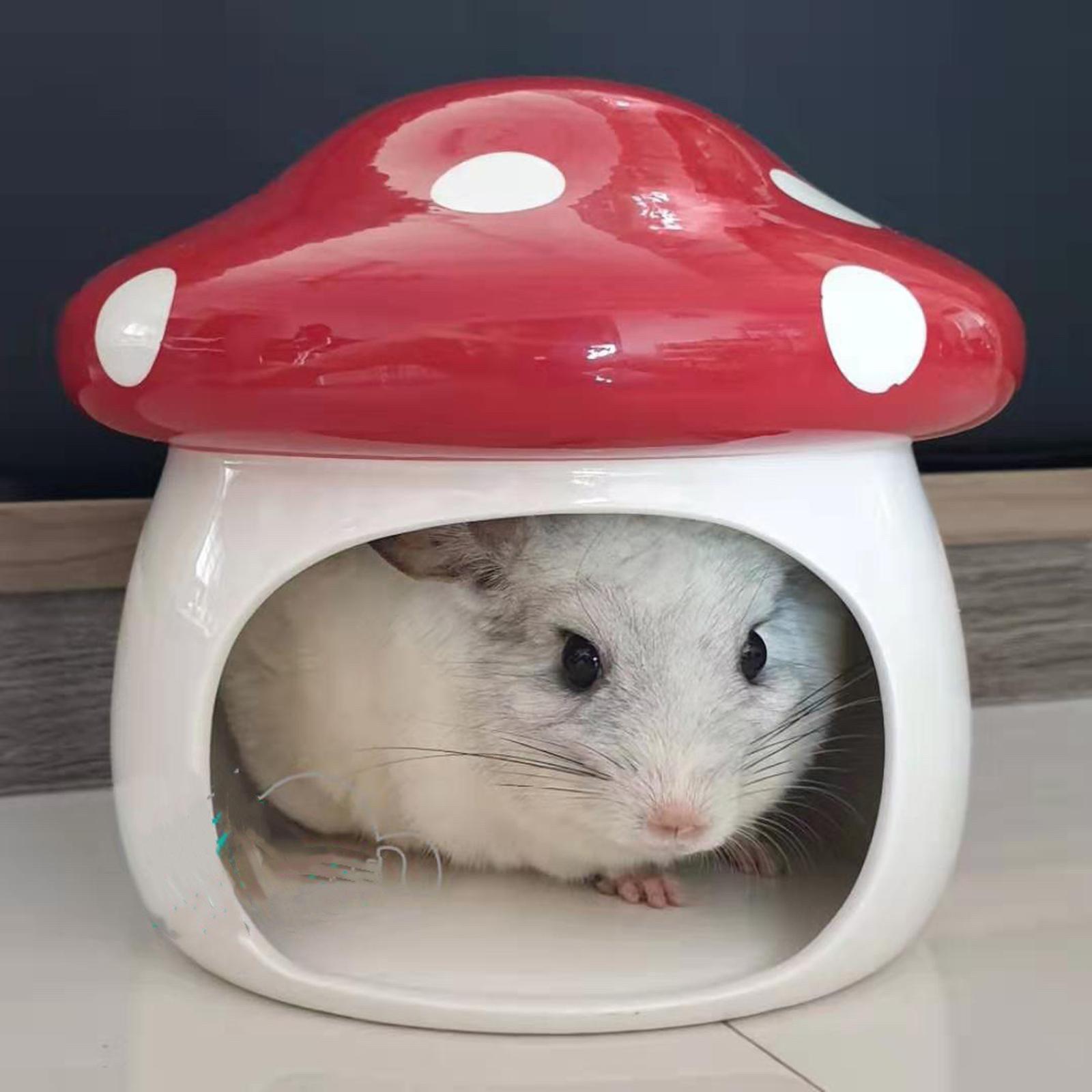 Hamster Houses Hideouts Chinchillas Mushroom Ceramic Hamster Habitat Hideout