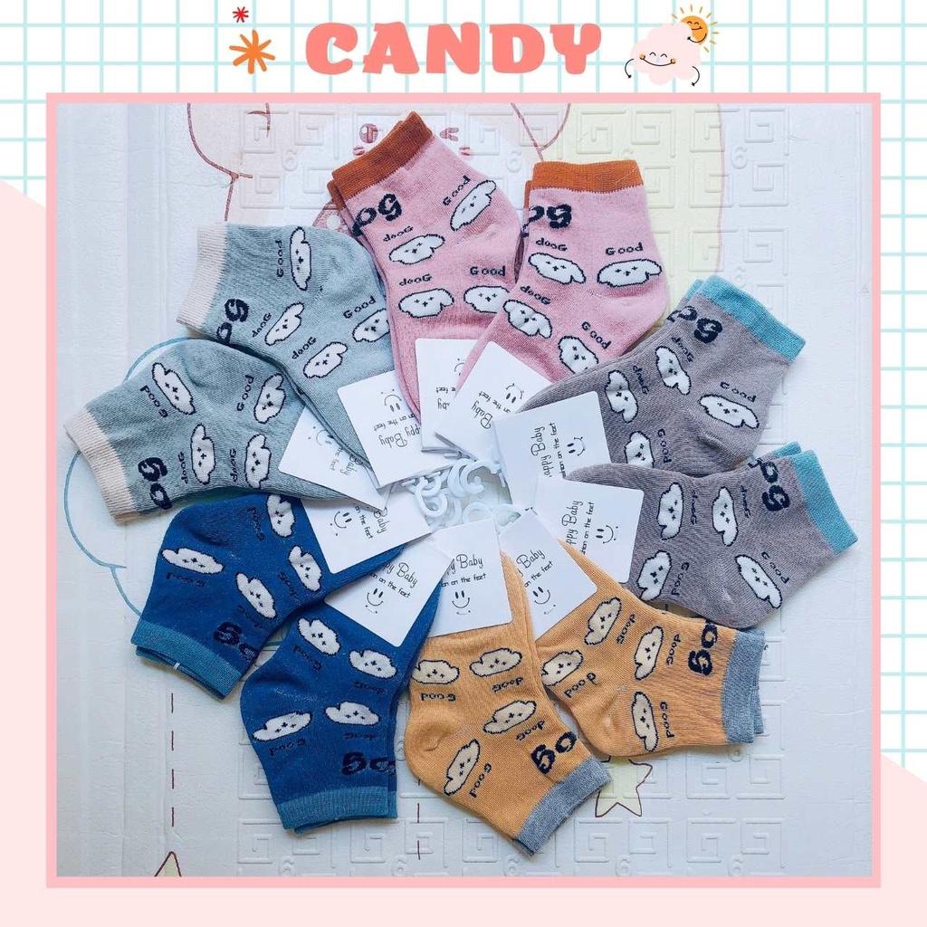 Tất trẻ em cổ thấp, Set 5 đôi tất trẻ em chất liệu cotton, Happy Baby mềm mại thoáng khí cho bé từ 1-4 tuổi