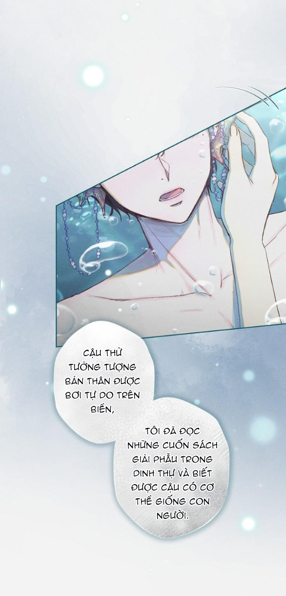 chàng tiên cá mắc kẹt trong hồ của tôi chapter 2.1 44