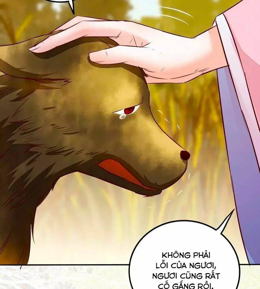 thần y khí nữ: ngự thú cuồng phi của quỷ đế chapter 73 79