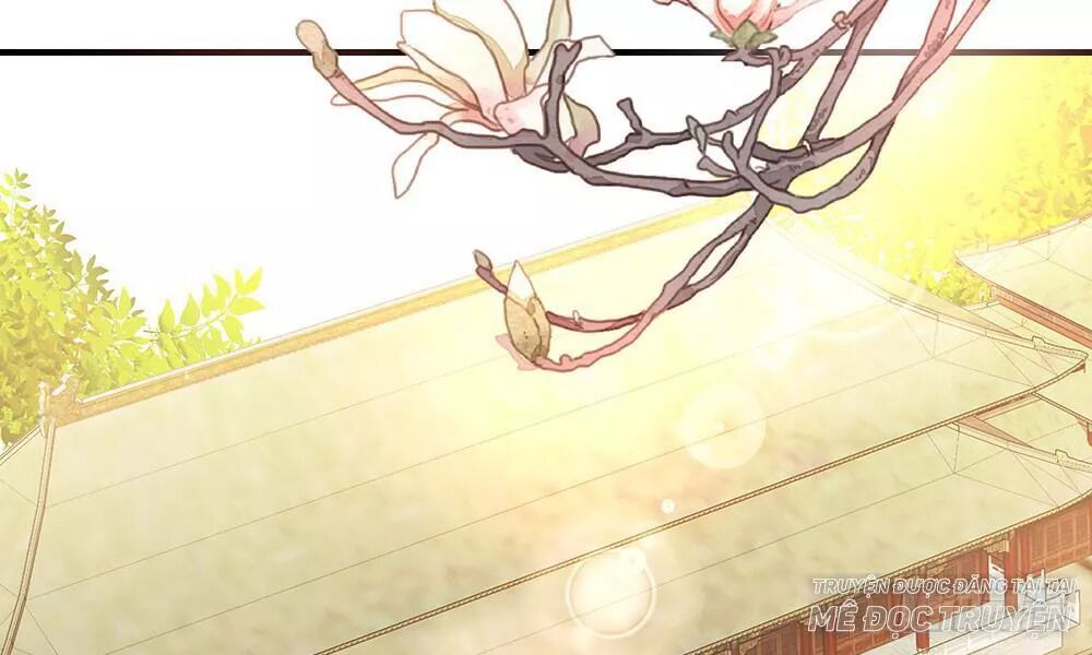 thái tử phi nhà ta thật hung hăng chapter 15 75