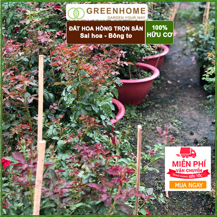 Đất trồng hoa hồng Greenhome- Giúp cây giữ ẩm, các chất dinh dưỡng, hoa hồng phát triển khỏe mạnh-5kg