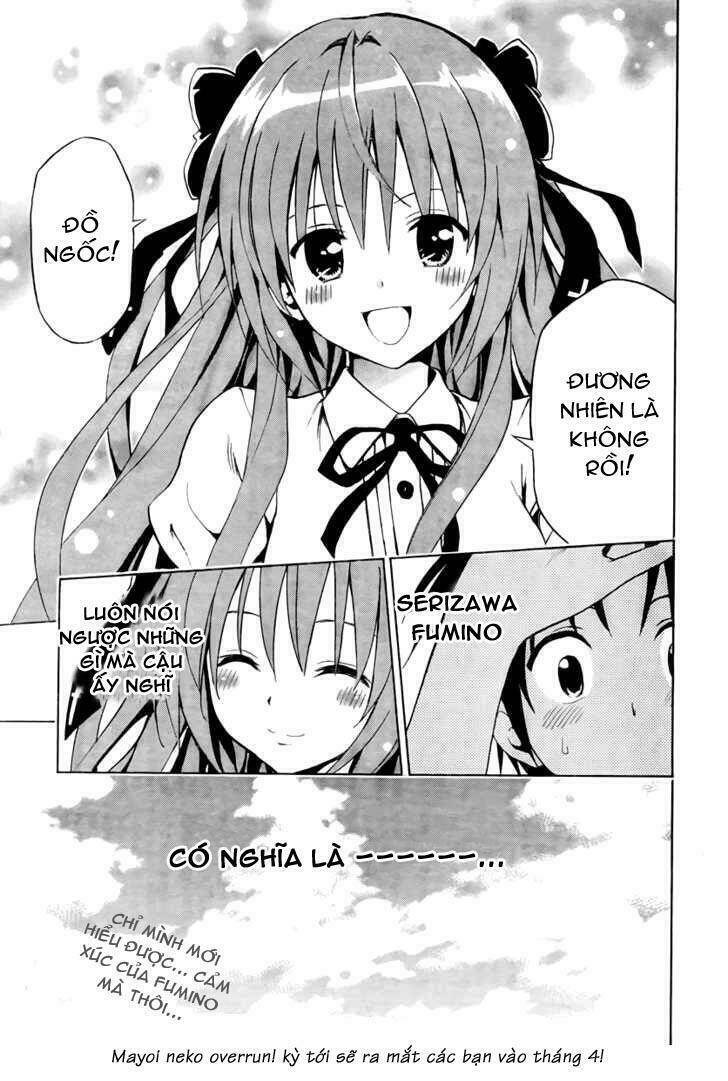 mayoi neko overrun! chapter 2 45