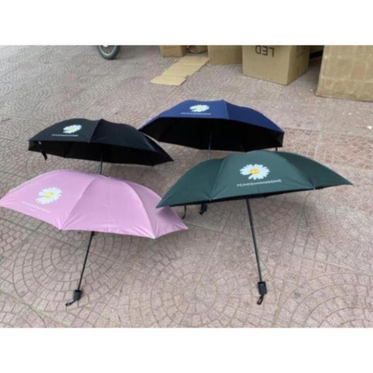 HOT SALES - Ô Dù Hoa Cúc gấp gọn