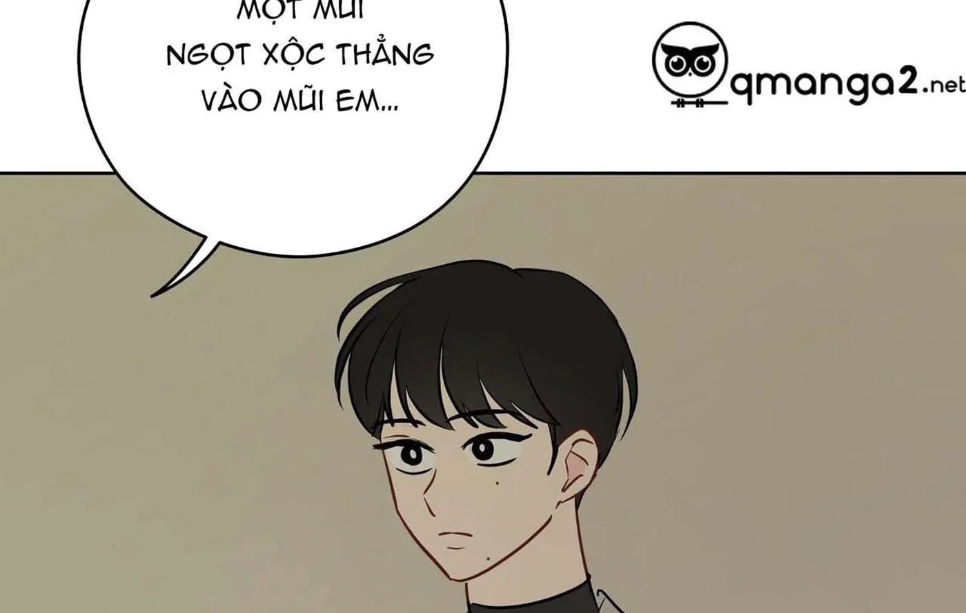 chuyện quái gì với giấc mơ đó vậy chapter 23 12