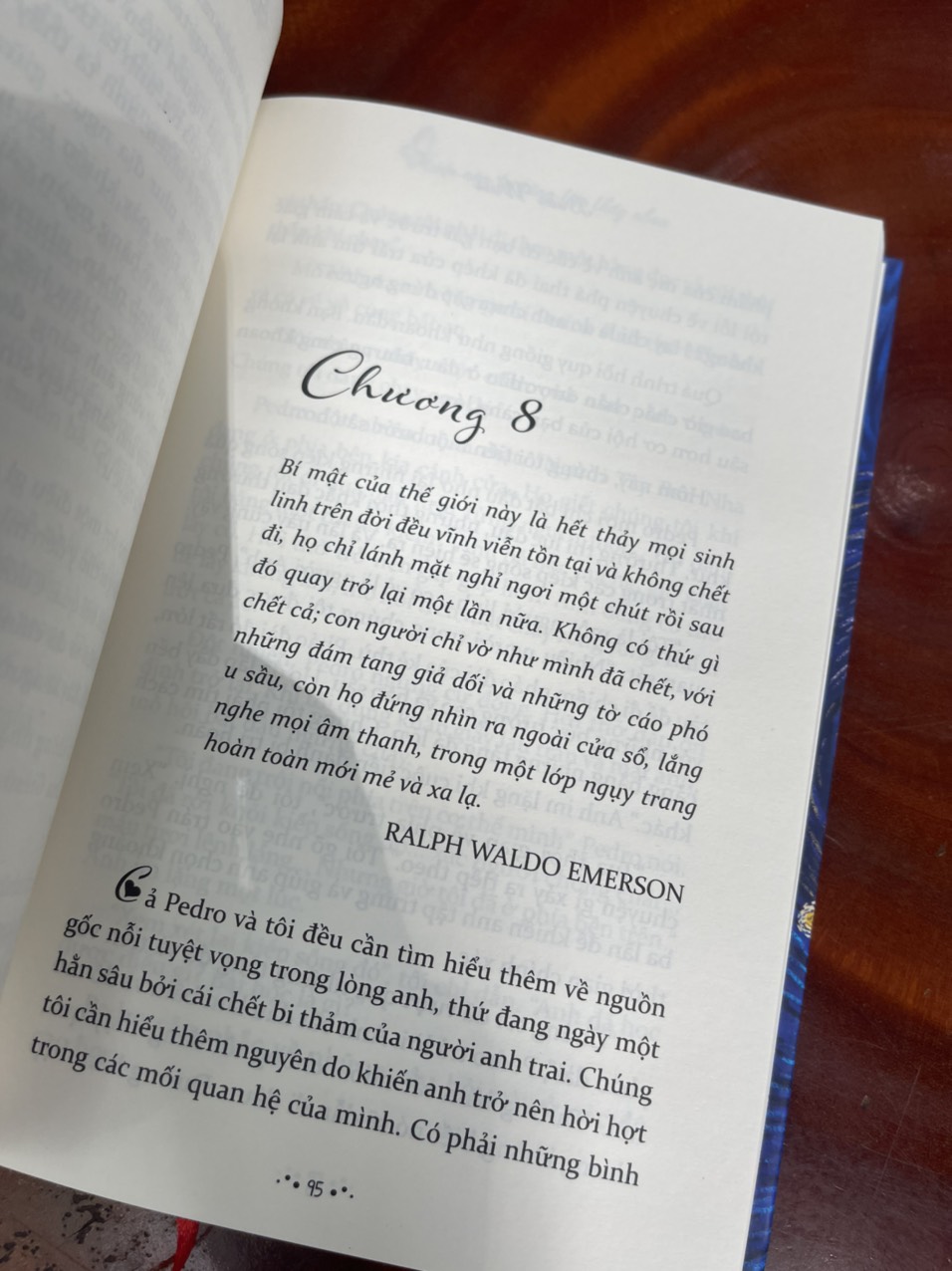 [15 năm Thaihabooks] KIẾP NÀO TA CŨNG TÌM THẤY NHAU - Câu chuyện về những linh hồn tri kỷ vĩnh viễn không chia lìa - Brian Weiss – Bìa cứng