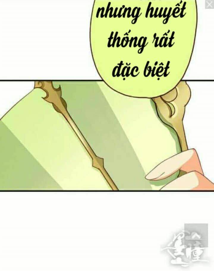 tân quang thiên chapter 55 82