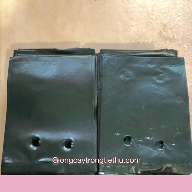 TÚI BẦU ƯƠM CÂY GIỐNG 1kg