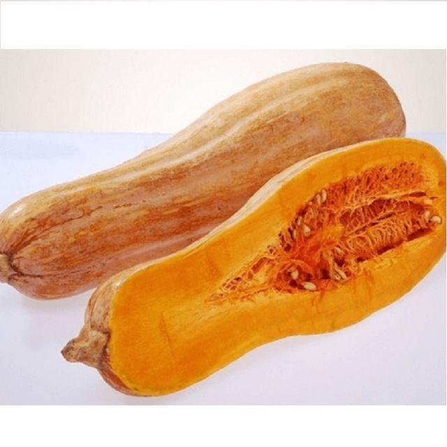 Hạt Giống Bí Đỏ Trái Dài - Bí Rợ, Bí Sáp CT10