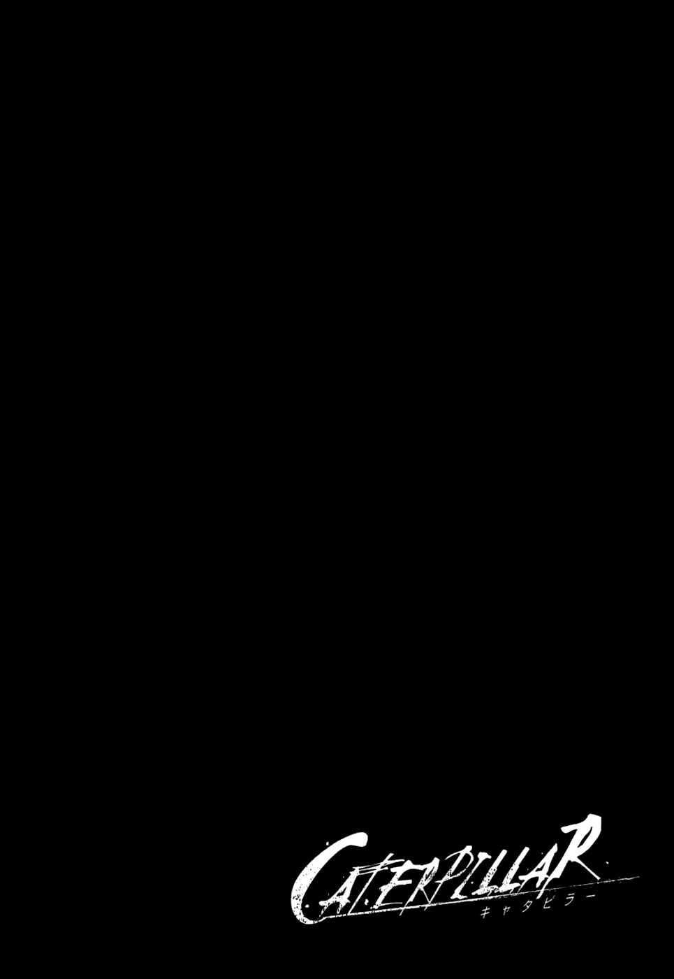 caterpillar chapter 2 26