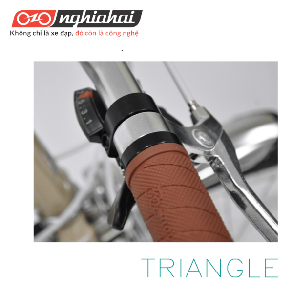 Xe đạp thể thao Nhật Bản – TRIANGLE SF