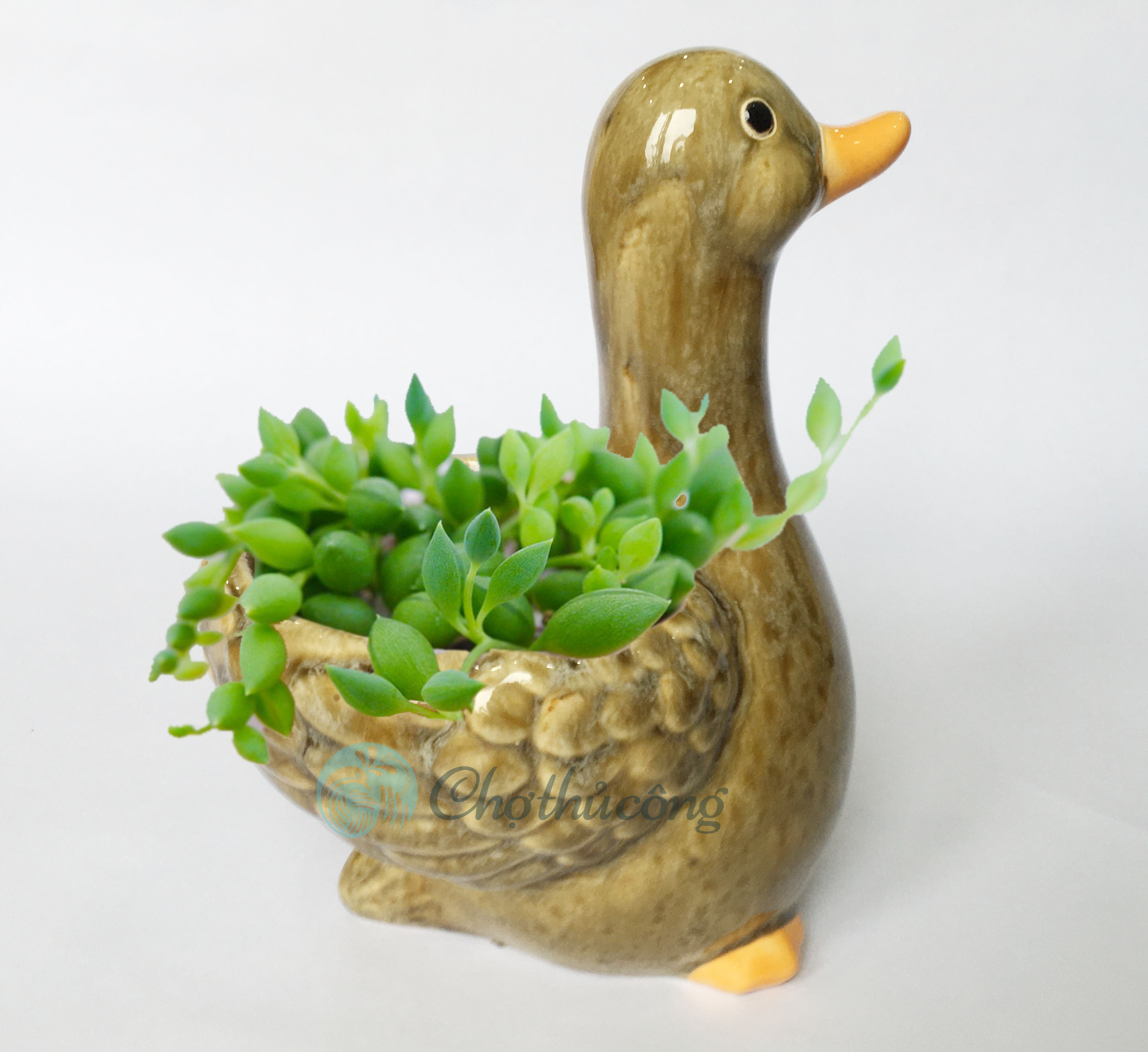 Vịt gốm tráng men - Chậu tượng gốm xinh xắn có lỗ dùng trồng cây, trang trí, decor sân vườn