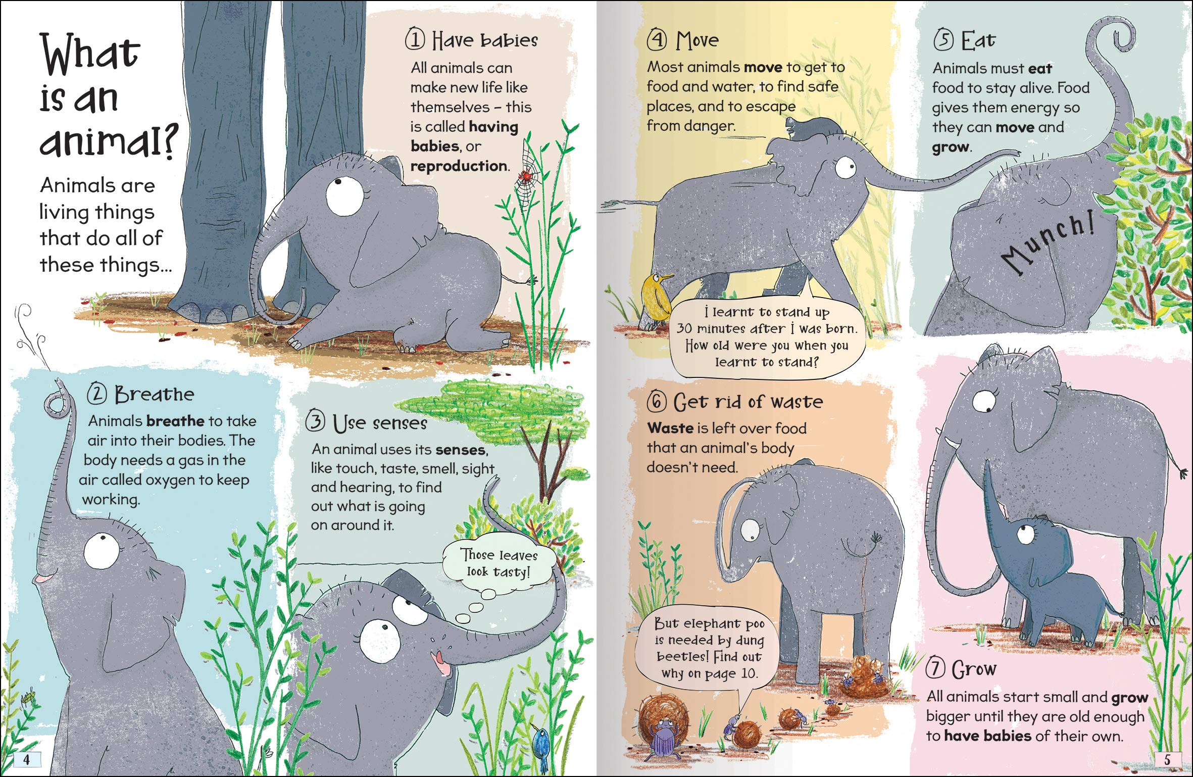 Curious Questions & Answers About Animals