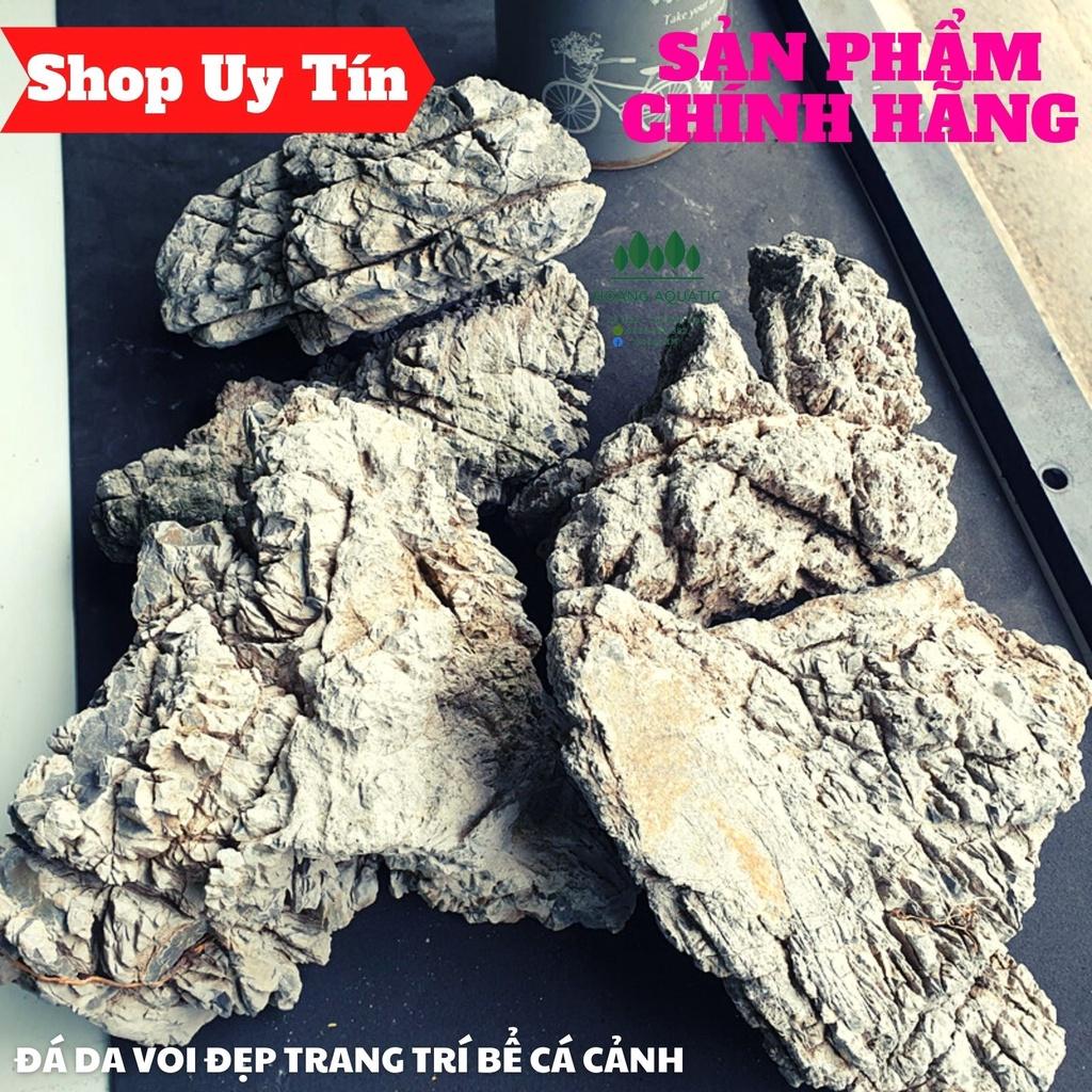 Đá Da Voi Đẹp | Trang trí Bể Cá Thủy Sinh, Phong Cách Biotope, Iwagumi (1KG)